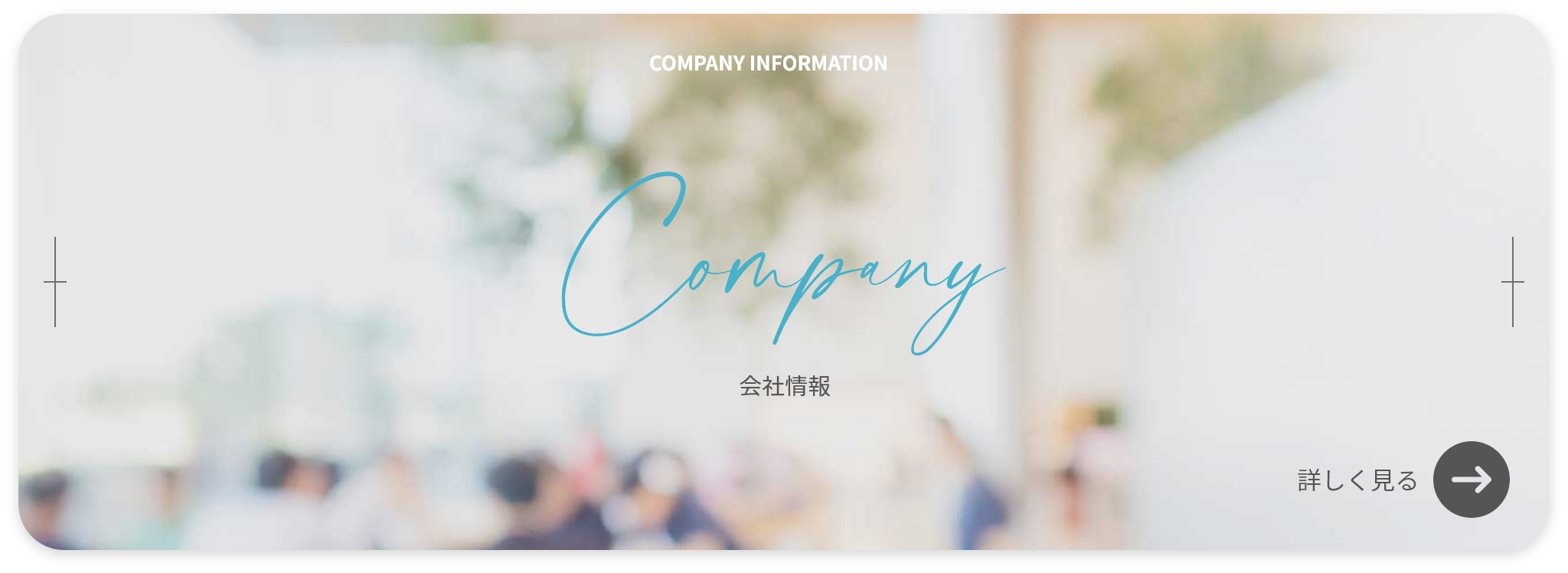 会社情報